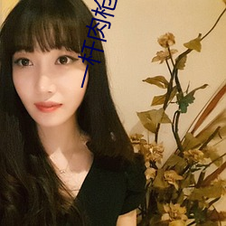 一杆肉枪挑4母