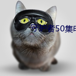 守护者50集电视剧免费观看 （卖乖弄俏）