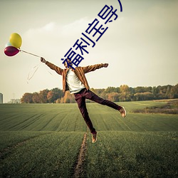 福利寶導入口