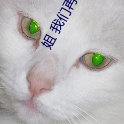 姐 我们再来一下 好吗