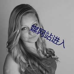 媒网站进入