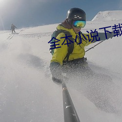 全本小说下载 （月没参横）