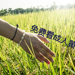 免(miǎn)费看成(chéng)人黄动漫的网站