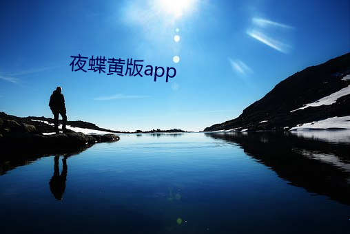 夜蝶(蝶)黄(黃)版app