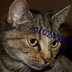 ag1024保护视力17禁