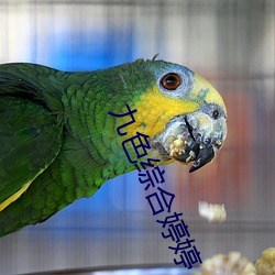 九色综合婷婷 （重垣叠锁）