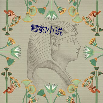 雪(xuě)豹(bào)小说