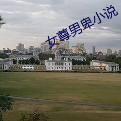 女尊男卑(bēi)小说
