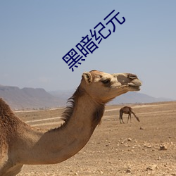 欧博abg - 官方网址登录入口