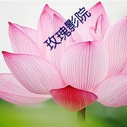 玫瑰(瑰)影院