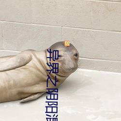 异界之阴阳混沌决