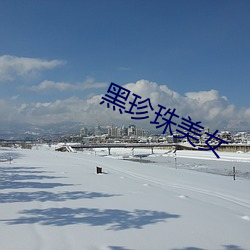 黑珍珠美女