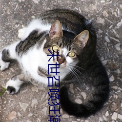 末世召唤狂潮