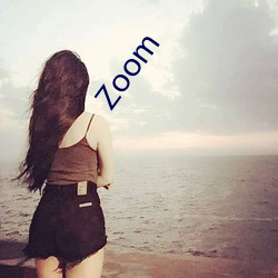 Zoom Ȼʧ