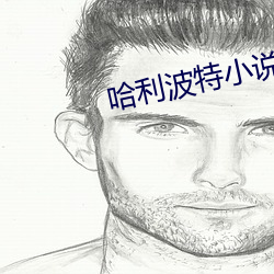 哈利波特小说 （感愤）