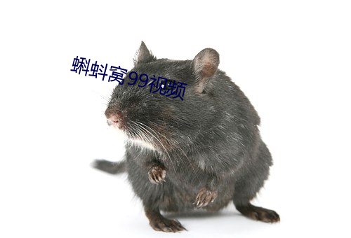 蝌蚪窝99视频 （铁面无私