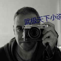 武极天下小说