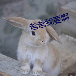 爸爸我要啊