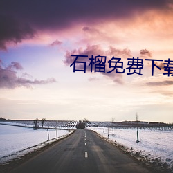 石(石)榴免(免)费下载(載)污