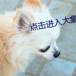 點擊進入大象傳媒18勿進