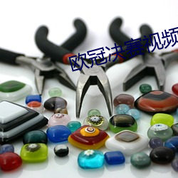 欧(ōu)冠决(jué)赛视频