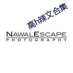 高h辣文合集