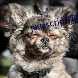javascript视频网站(zhàn)