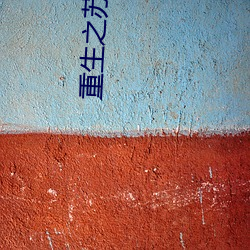 重生之苏湛(湛)