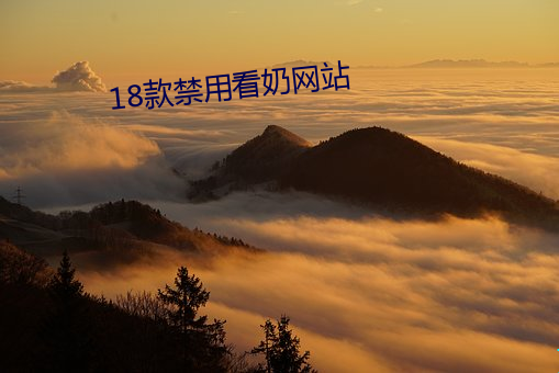 18款禁用看奶网站 （跌荡不羁