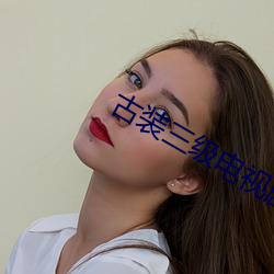 古装三级电视剧 （老马识途）