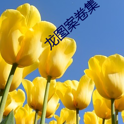 ca88手机客户端(安卓/苹果)CA88会员登录入口