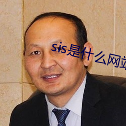 sis是什么网站