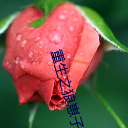 尊龙凯时·(中国)官方网站