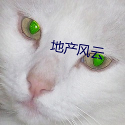 地产风云 （焚林而猎）