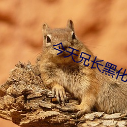 今天(tiān)兄长黑(hēi)化了吗