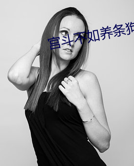 宫斗不如养条狗