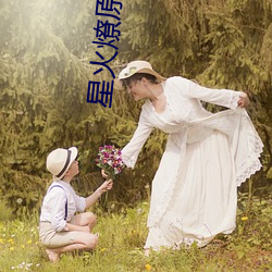 星火燎原小说