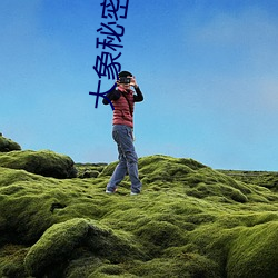 大象秘密入口