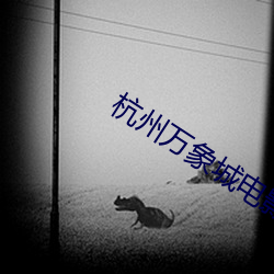 杭州万象城电影院 （掳掠��