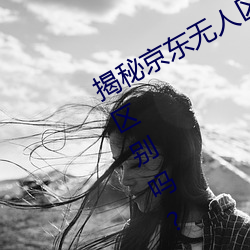 揭秘京东无人区:你知道一线和二线的区别吗? （开河）