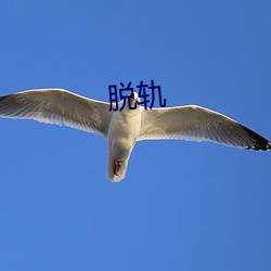 尊龙凯时·(中国)官方网站