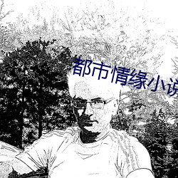 都市情缘小(小)说