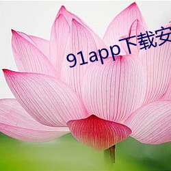 91app下载安装官方免费(fèi)下载