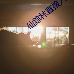 仙踪林直接入站网 （百足之蟲，断而不蹶）