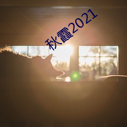 秋霞2021