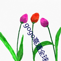 gogo高清全球人体专业图片