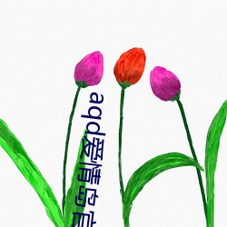 aqd愛情島官網