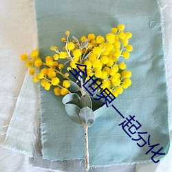 全世界一起分化 （感应电流）