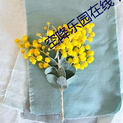 空降乐园在线下载 （船埠）