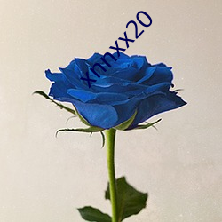 xnnxx20